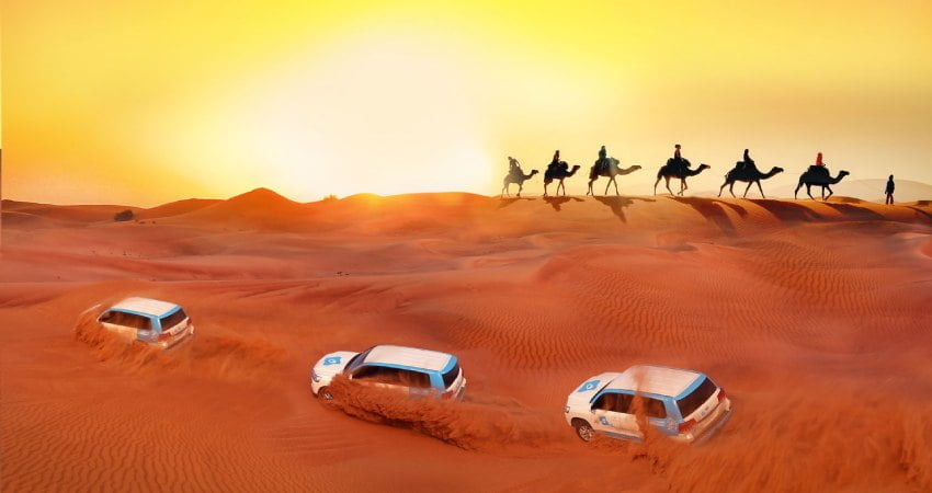 The Best of Dubai: Desert Safari, Camel Rides, and More…