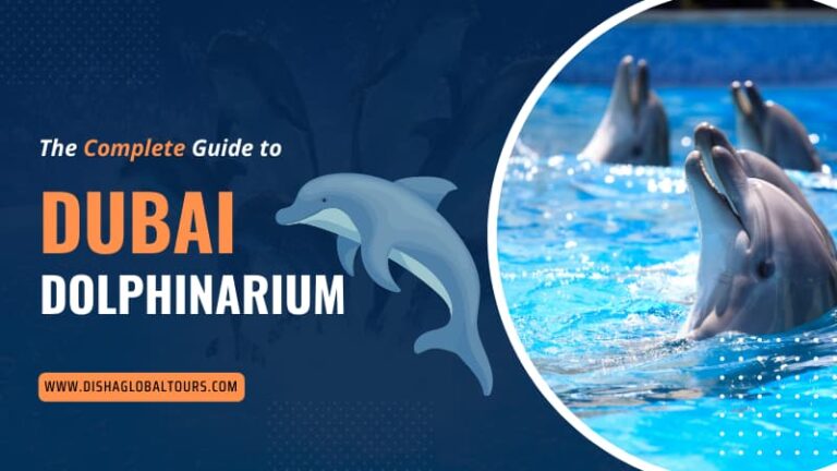 Dolphinarium