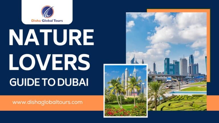 Nature lovers guide to Dubai