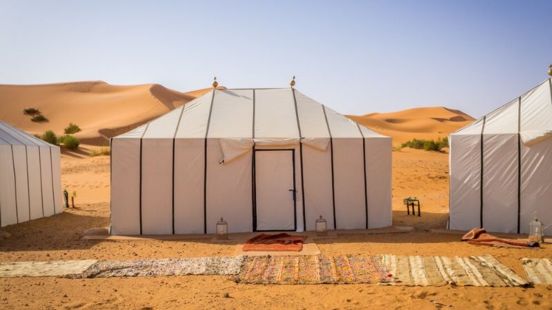 Abu Dhabi: Island Glamping and Eco-Luxury