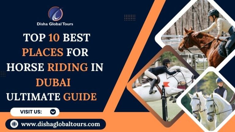 Horse Riding in Dubai