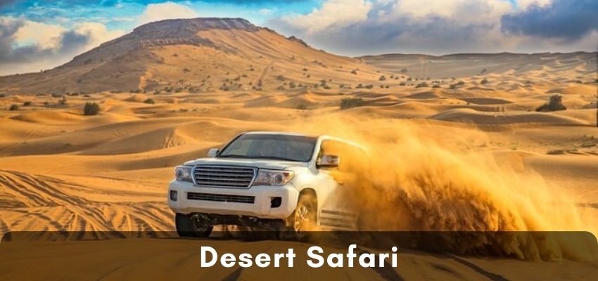 Desert Safari