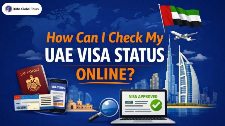 How Can I Check My UAE Visa Status Online