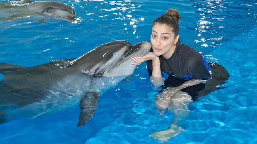 Travel Tips and Important Information