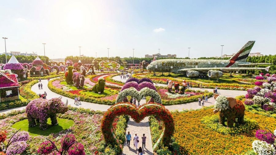 Miracle Garden - beautiful flower garden in Dubai